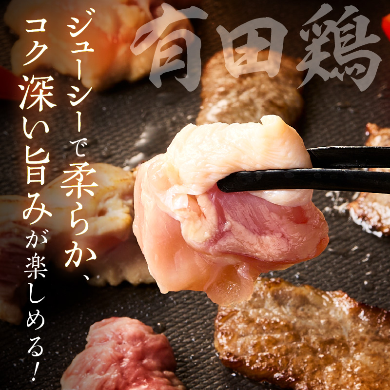 佐賀の恵み 三種焼肉セット（佐賀牛・有田鶏・肥前さくらポーク）×4セット 015-J1630