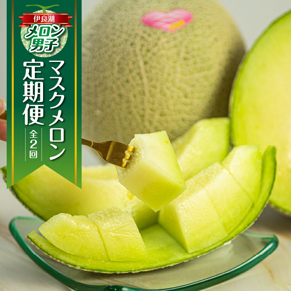 【ふるさと納税】【定期便】先行予約 マスクメロン 2回 伊良湖産 2玉 2Lサイズ 2025年7月スタート 箱詰め メロン フルーツ 果物 お中元 お取り寄せ ギフト 渥美半島 田原市 伊良湖メロン男子 産地直送 送料無料 メロン 糖度 メロン 青肉