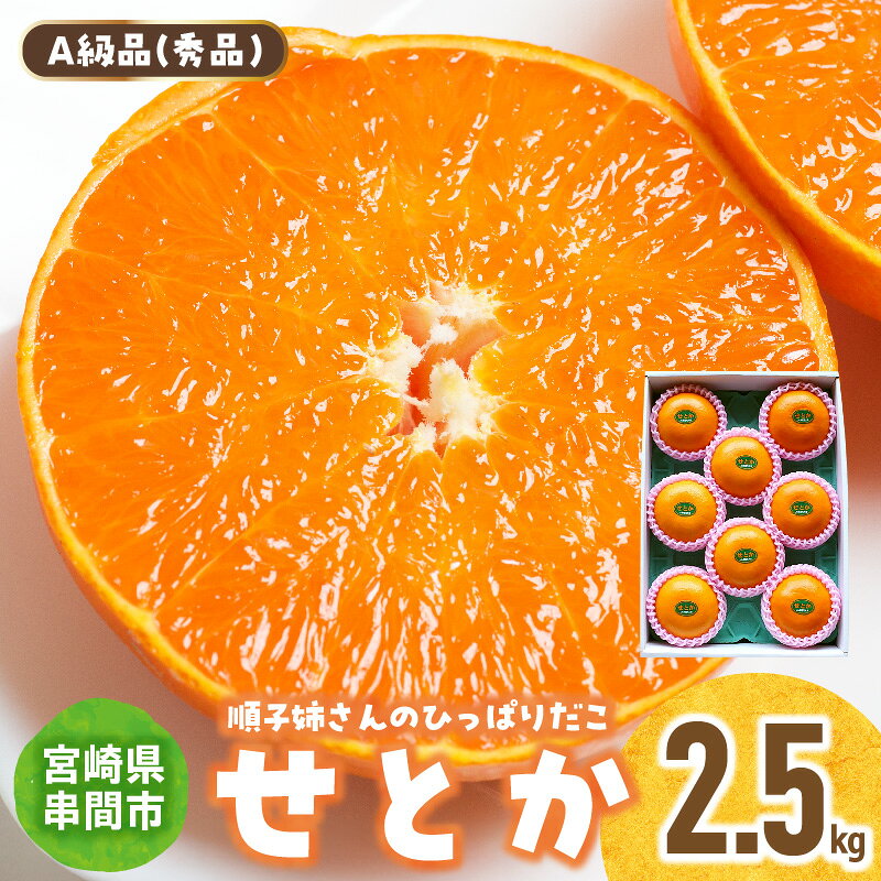 【ふるさと納税】【先行予約】＜数量限定＞＜2027年2月中旬頃から順次発送予定＞《A級品》 順子姉さんのひっぱりだこ愛情せとか 2.5kg 果物 フルーツ デザート スイーツ ギフト プレゼント 贈り物 贈答 プレゼント ふるさと おすすめ みかん 特産品 果汁 宮崎県 串間市