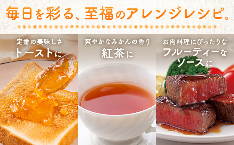 十万みかん ジャム 150g 6個 田野農園《30日以内に出荷予定(土日祝除く)》鹿児島県 さつま町 みかん 蜜柑 柑橘 果物 くだもの フルーツ ジューシー 送料無料