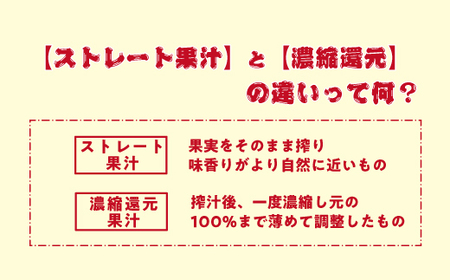 【 ストレートタイプ 】 りんごジュース 1000ml × 2本 ストレート果汁 100% 山岸ファーム 沖縄県への配送不可 飲料 果汁飲料 りんご リンゴ 林檎 ジュース 信州 農家直送 長野県 飯
