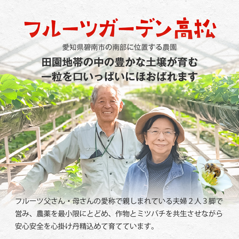 【1レーン貸切・最大60分食べ放題（土日祝・繁忙期は45分）】いちご狩り券 3名様（３才以上）愛知 体験 チケット くだもの狩り フルーツ狩り H175-008