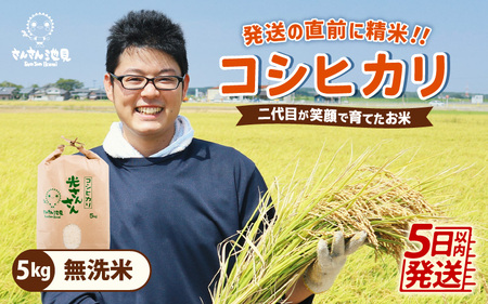 【令和6年産・新米】さんさん池見二代目が笑顔で育てた 福井県産 コシヒカリ お試し用 5kg（無洗米）【お米 こしひかり 無洗米 玄米 白米 5キロ 選べる 精米 ブランド米 ごはん ご飯 おいしい 人気 ふるさと納税米 産地直送】 [A-0254_05]