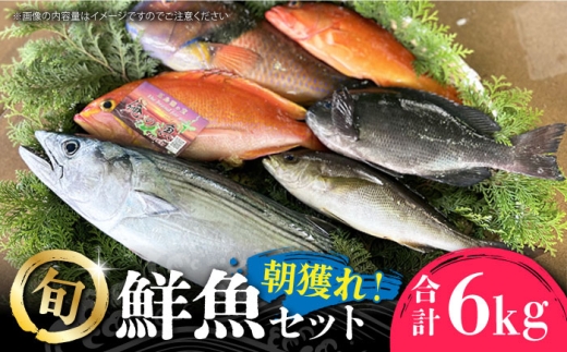 朝獲れ鮮魚セット6kg【五島列島直送】五島市/鯛福丸水産[PDP012]鮮魚BOX 詰め合わせ 詰合せ せんぎょ 冷蔵 刺身 魚 海鮮 直送 さかな 新鮮人気 おすすめ
