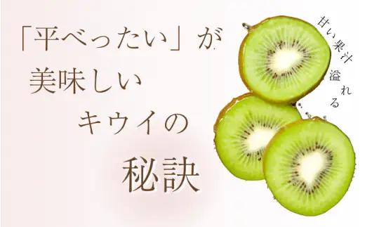 わけあり キウイ 1kg+250g（傷み補償分） 扁平果 / 和歌山 家庭用 フルーツ 果物 くだもの ※2026年11月中旬より2027年4月下旬頃順次発送予定 ※北海道・沖縄・離島配送不可 【ik