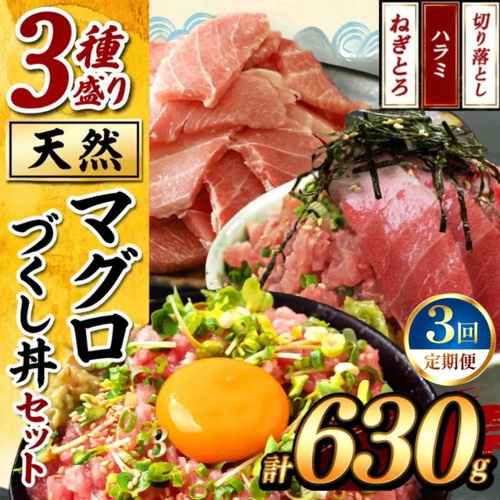 【定期便3回】天然 マグロづくし丼 セット 3種盛り630g | 清幸丸水産 ネギトロ 切り落とし 鮪