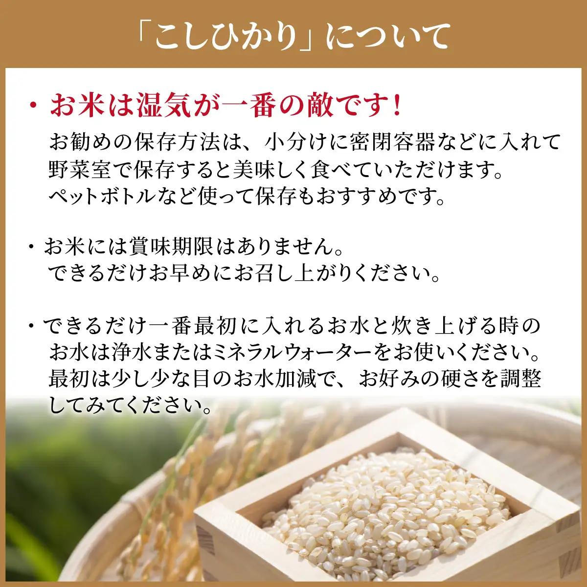 玄米 南さんちのこしひかり 10kg 玄米 【令和8年産】【有機JAS認証米】