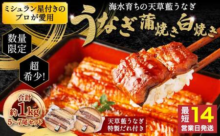  【ミシュラン1つ星店 採用】うなぎ 数量限定!! 海水育ちの天草藍うなぎ 超特大 紅白 5～7尾 セット【合計約1kg】 天草藍うなぎ 天草うなぎ 国産うなぎ 熊本県産うなぎ