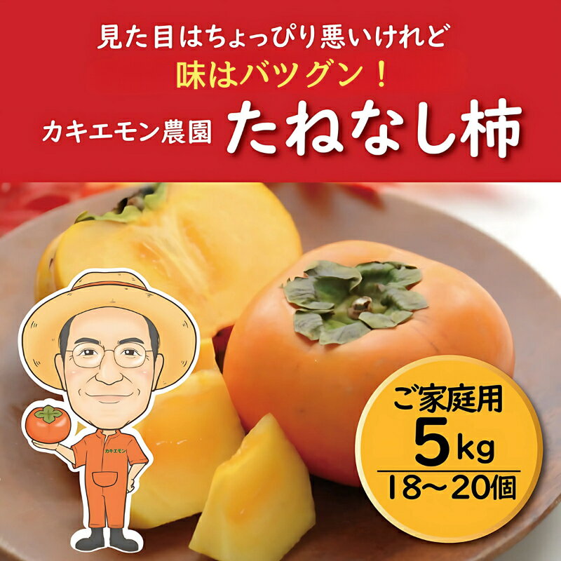 【ふるさと納税】 【訳あり・ご家庭用】たねなし柿 約5kg 18 〜 20個 カキエモン農園【2025年9月下旬〜10月末頃順次発送】 | 柿 かき フルーツ 果物 くだもの 食品 人気 おすすめ 送料無料 産地直送