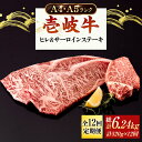 【ふるさと納税】【全12回定期便】 A4ランク A5ランク 壱岐牛 サーロインステーキ 200g×2枚 ヒレステーキ 120g×1枚《壱岐市》【壱岐市ふるさと商社】 [JAA022] 冷凍配送 黒毛和牛 A5ランク シャトーブリアン 408000 408000円