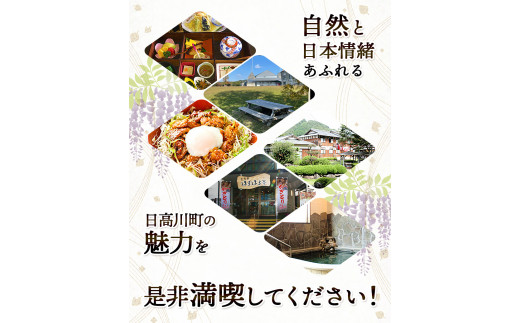 日高川町内の観光施設で利用できる「利用券」3,000円(500円券×6枚)きのくに中津荘《30日以内に出荷予定(土日祝除く)---iwshg_kfknkr_30d_23_12000_6i---