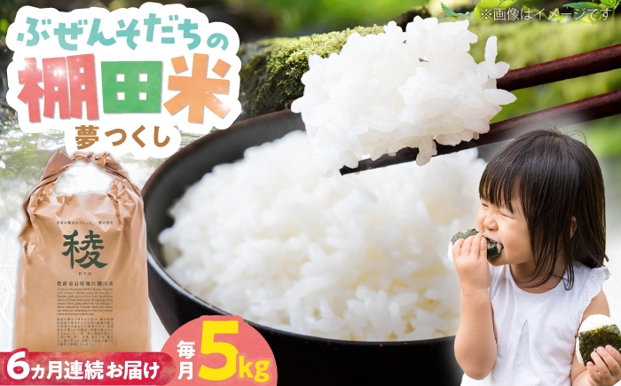 
                  【全6回定期便】新米 求菩提米 夢つくし 5kg (5kg×1袋) 《豊前市》【アグリネックス】 米 お米 白米 5キロ 米5kg 米5キロ 新米 産地直送 精米 国産 おすすめ おいしい 人気 ランキング [VCO009]
                