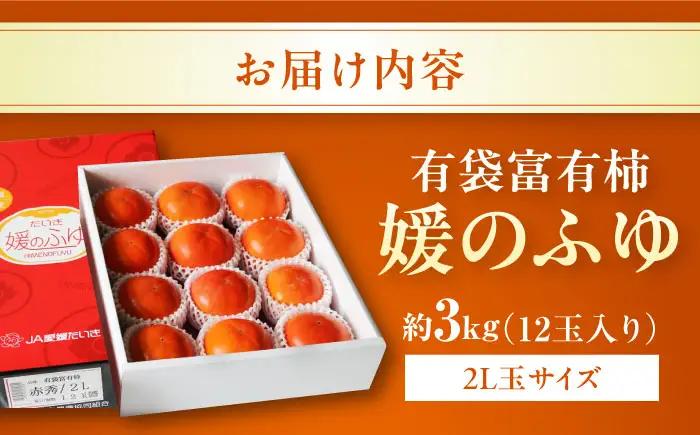 柿 有袋富有柿 約3kg BKAL001 