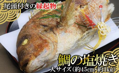 【塩焼き鯛（タイ）・姿焼き】<大>約1ｋg/約45㎝～尾頭付き・縁起物～魚プロ集団が手掛ける自信作　（26-14）