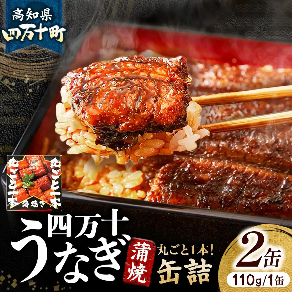 うなぎ蒲焼き丸ごと一本缶詰（2本セット） うなぎ缶詰 備蓄 防災食 非常食 ／Esu-123