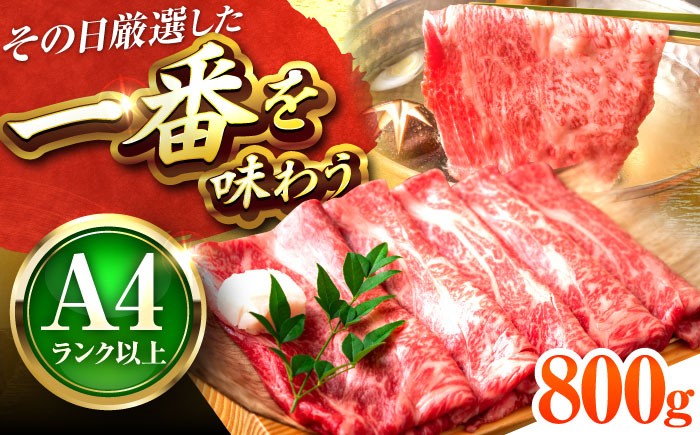 
            【A4〜A5】博多和牛 しゃぶしゃぶ すき焼き 800g (肩ロース肉・肩バラ・モモ肉) 吉富町/株式会社MEAT PLUS [BGAB047] 牛肉 和牛 ブランド牛 ふるさと 国産 福岡県
          