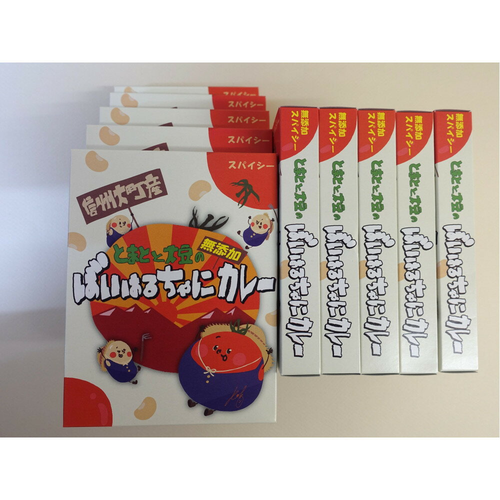 【ふるさと納税】ばいはるちゃにカレーセット（10箱） | 食品 加工食品 人気 おすすめ 送料無料
