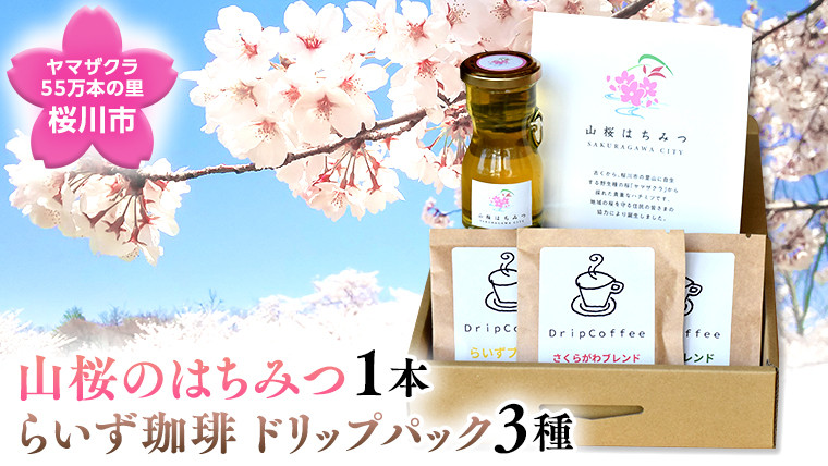 
ヤマザクラ55万本里の「山桜のはちみつ」珈琲セット 数量限定 さくら 希少 国産 国産はちみつ ハチミツ 茨城県産[SC010sa]
