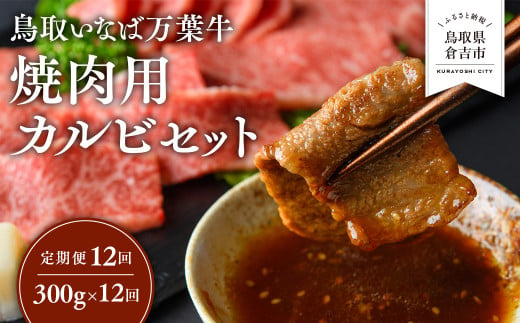 【定期便12回】 鳥取いなば万葉牛 焼肉用カルビセット 300g × 12回 鳥取和牛 国産 牛肉 和牛 黒毛和牛 カルビ セット 焼肉 焼き肉 肉 ブランド牛 冷凍 定期便 鳥取県 倉吉市