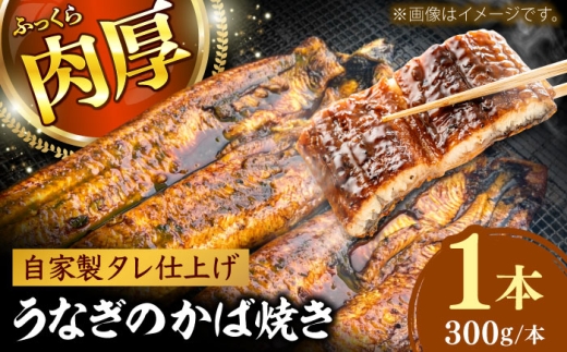 鰻のかば焼き1本 鰻 うなぎ ウナギ かば焼き 土用の丑の日 小分け 惣菜 人気 おすすめ 島根県雲南市/有限会社田丸屋魚店 [AIEH004]