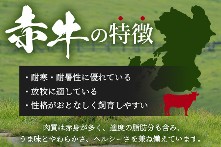 【定期便3回】熊本 赤牛 ハンバーグ 150ｇ×10個 ×3回配送 熊本県産 あかうし 和牛 牛肉 国産 牛 ハンバーグ 惣菜 お弁当 BBQ アウトドア グルメ 121-0602