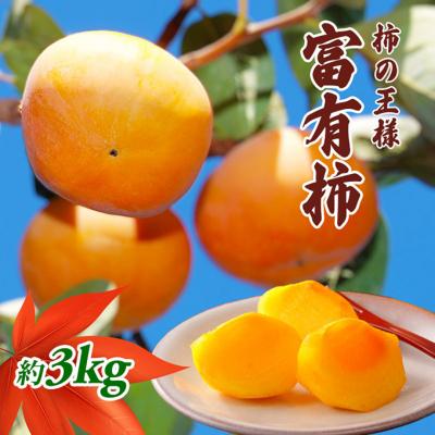 ふるさと納税 綾川町 柿の王様 富有柿 3kg [54010102]