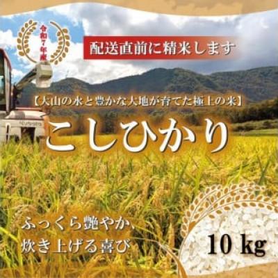 ふるさと納税 北栄町 令和7年産　山崎農園こしひかり精米　10kg