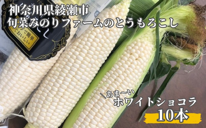 
                  とうもろこし 旬菜みのりファーム あま～い ホワイトショコラ 10本  
                