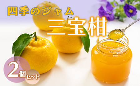 ジャム 長野 四季のジャム 三宝柑 2個 セット 飯島商店 みかんジャム みかん 柑橘 朝ごはん 朝食 パン フルーツ 果物 デザート スイーツ ギフト プレゼント 贈答 贈り物 調味料 加工食品 ミカンジャム ミカン 蜜柑 長野県 上田市 上田