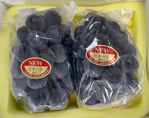 ニューピオーネ 2房(1房480g以上)