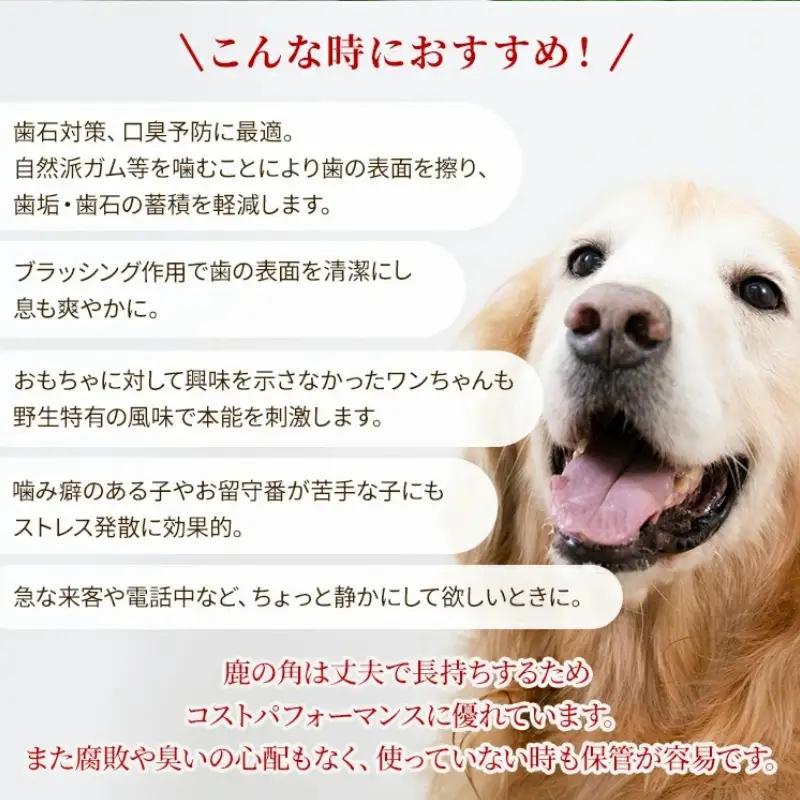 鹿の角 犬のおもちゃ ペット用 Lサイズ ( ペット おもちゃ 鹿 角 )【079-0015】