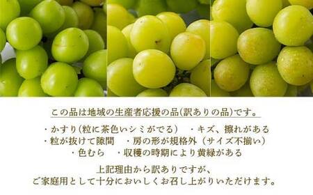 《2026年先行予約》【仲野観光果樹園】ご家庭用 山形県産 フルーツ定期便 (全3回) 白桃＆黄桃 シャインマスカット＆ピオーネ ラ・フランス＆りんご 2026年8月上旬から順次発送 F2Y-6128