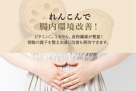 【数量限定・先行予約】 小美玉市小美玉市産れんこん（2箱）約8kg れんこん レンコン 蓮根 茨城 国産 お正月 おせち 野菜 17-AD ＜11月中旬～12月上旬発送予定＞