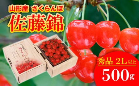 さくらんぼ 佐藤錦 厳選2Lサイズ以上500g入り1箱 【令和7年産先行予約】FU20-123 くだもの 果物 フルーツ 山形 山形県 山形市 2025年産