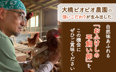 北海道 豊浦 おふけしの平飼い卵18個＋BioPio 烏骨鶏卵 6個