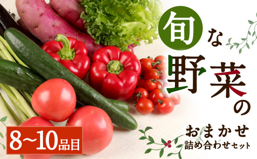 
旬な野菜 おまかせ 詰め合わせ セット 8～10品目
