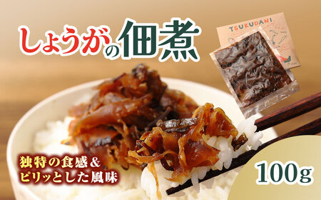 TSUKUDANI/しょうがの佃煮 (100g) ふるさと納税 福知山市 佃煮 しょうが つくだに 惣菜 おかず 生姜の佃煮 お歳暮 お中元 クリスマス ハロウィン ギフト 贈り物 プレゼント 【fc-BW012】【M.vege】