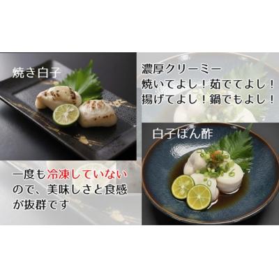 ふるさと納税 臼杵市 【期間・数量限定】希少・とらふぐ白子(約200g) |  | 01