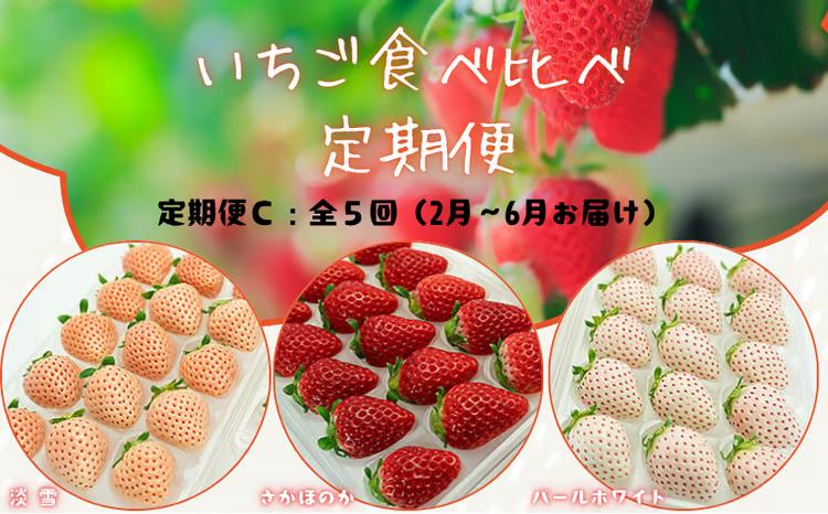 先行受付！【定期便5回】佐賀県産 3種いちご【2027年2月～6月発送】淡雪 さがほのか パールホワイト いちご 苺 イチゴ：B650-003 【定期便5回】2月から6月