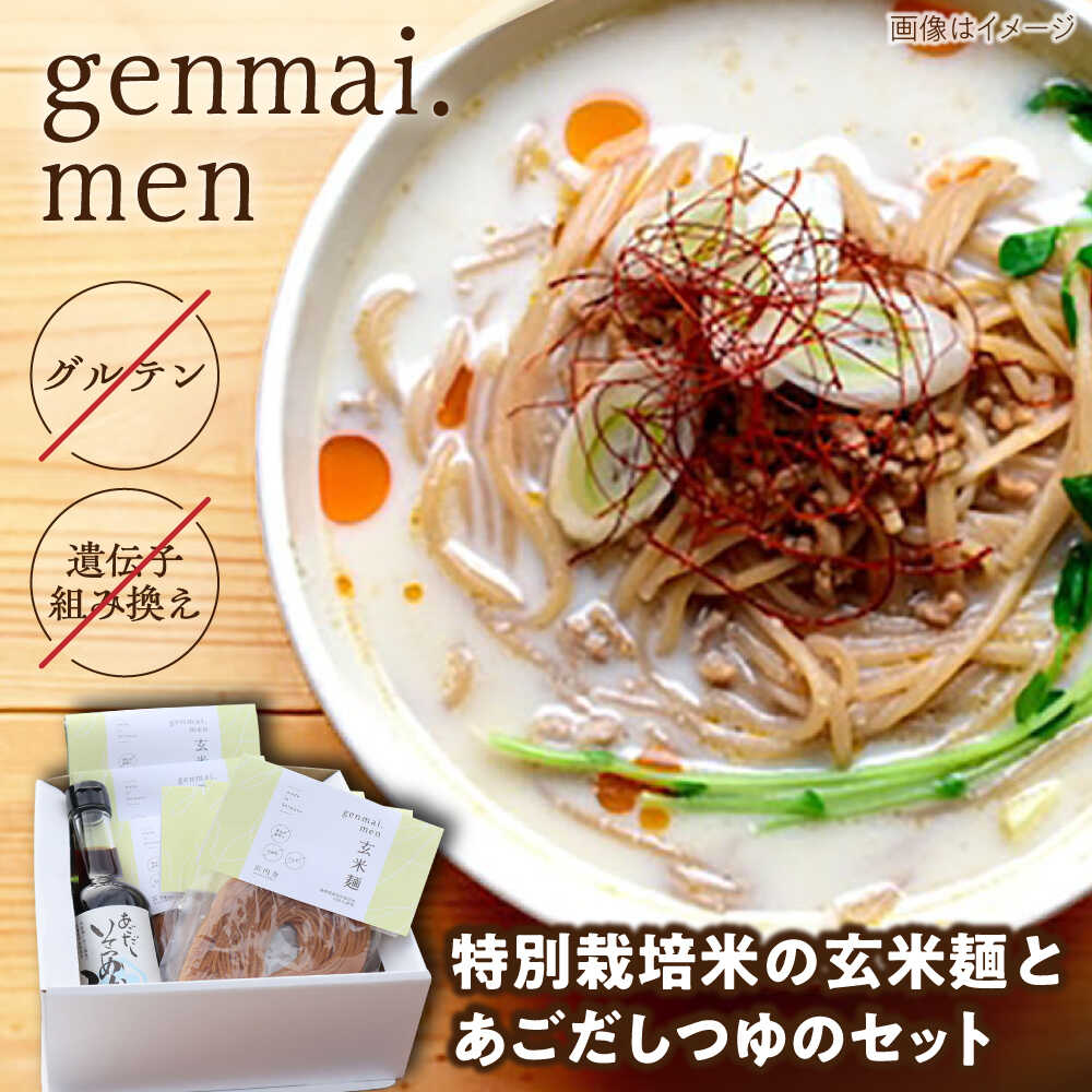 【ふるさと納税】 玄米麺 グルテンフリーの玄米麺と日本海のあごだし麺つゆセット（6食） 米粉麺 ライスヌードル 麺類 めん 麺 玄米麺 乾麺 セット あごだし つゆ付き 飛魚だし グルテンフリー アレルギー対応 人気 おすすめ 島根県雲南市/合同会社 宮内舎[AIBM002]