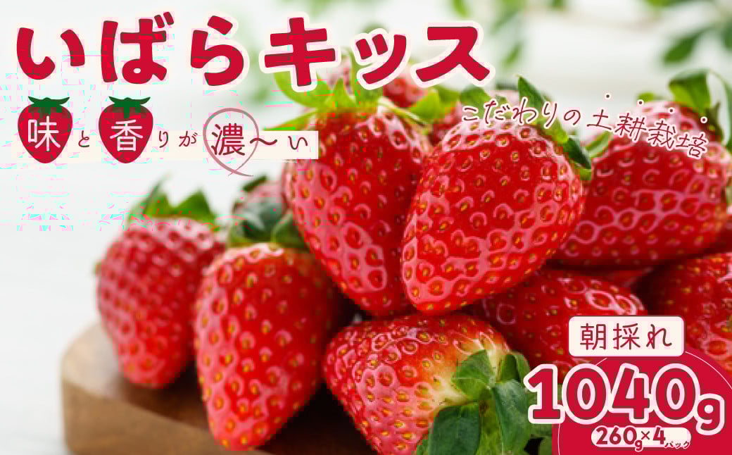 
            【2026年 先行予約】いちご いばらキッス 約260g×4パック | 苺 イチゴ いちご 檜山いちご園 新鮮いちご  大粒 いちご いばらキッス ひたち姫 フルーツ 旬 産地 直送 フレッシュ 新鮮 朝採れ 採れたて  糖度 酸味 バランス 健康 果物 デザート  贈り物 食べ比べ 人気 美味しい 甘い ベリー ブランド 茨城県 常陸太田市
          