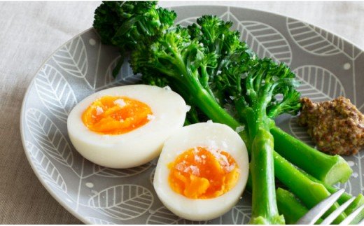 【波佐見焼】フォレッジビスク プレート 4色セット【西山】【NISHIYAMAJAPAN】 [CB24]