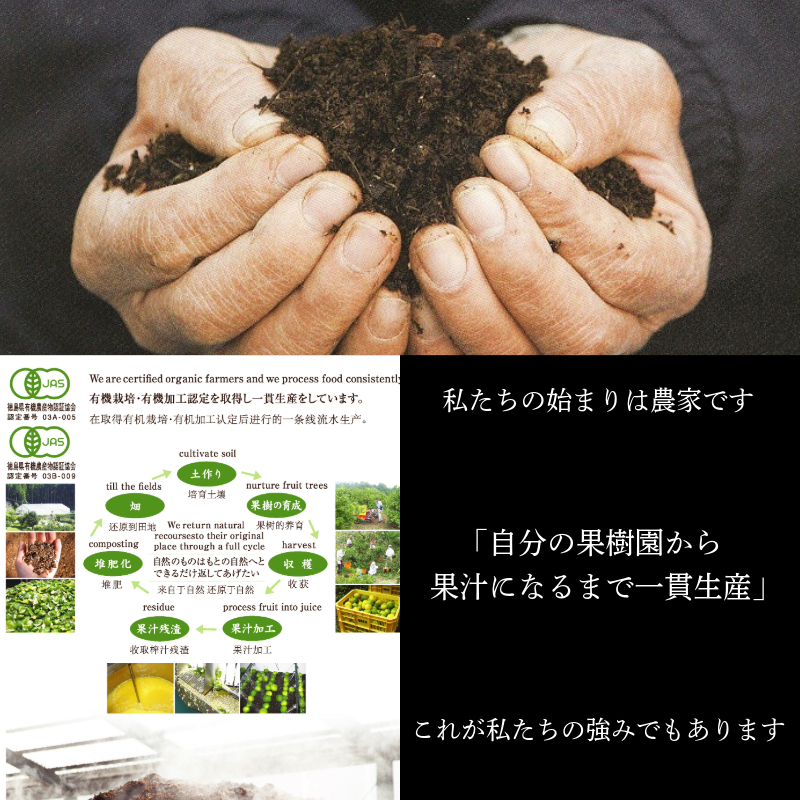 飲むゼリー　5本セット（4種＋1本）ゆず まっちゃ ゼリー 飲むゼリー 夏 ギフト お中元 爽やか さっぱり デザート 柑橘