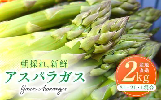R7年産 アスパラガス 2kg 山内農園/021-28100-b01C グリーンアスパラ グリーンアスパラガス アスパラ 大容量 野菜 春野菜 朝採れ 新鮮 極太 国産 サラダ 天ぷら 家庭用 数量限定 旬 特産 産地直送 北海道 津別町 送料無料
