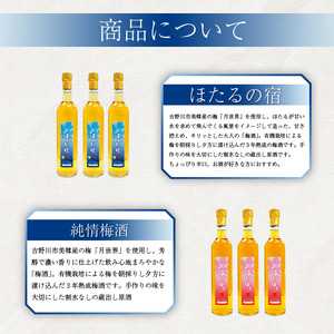 【 梅酒セット 】梅酒 飲み比べ 500ml 計 2本 