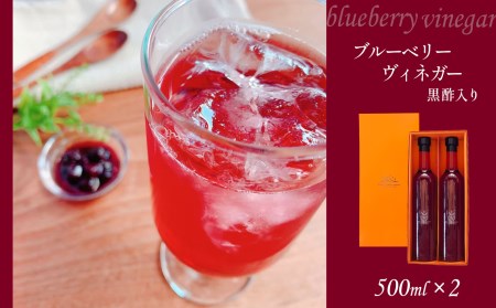 ブルーベリーヴィネガー黒酢入り2本セット ｜ フルーツ 果物 果実 ブルーベリー 自家栽培 ヴィネガー 黒酢 お酢 無添加 セット 詰め合わせ 料理 山口 美祢市 美祢 特産品
