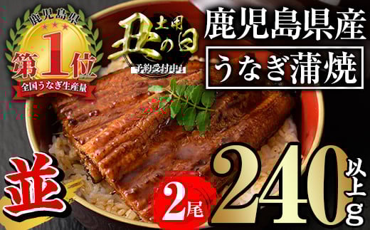 ＜丑の日先行予約受付中！＞無投薬！鹿児島県産うなぎ蒲焼セット＜並＞(計240g以上・ 約120g×2尾) タレ・山椒付き 鰻 ウナギ 国産【西日本養鰻】A730