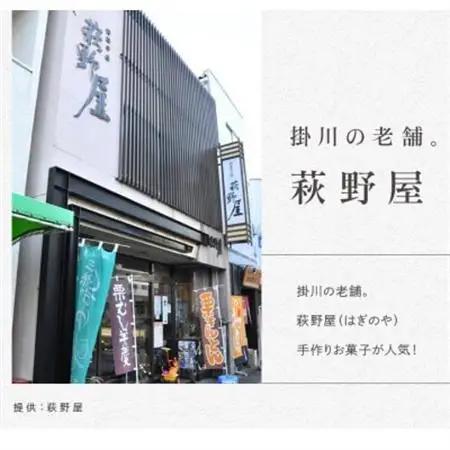 萩野屋 三昧くずゆ くずゆ白 36本入【配送不可地域：離島・沖縄県】【1662812】