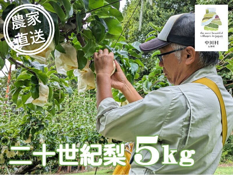 【ふるさと納税】桃沢農園のなし（二十世紀）　約5Kg±