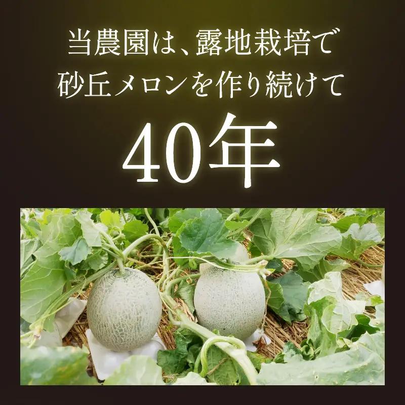 メロン／砂丘メロン 2L以上 1玉